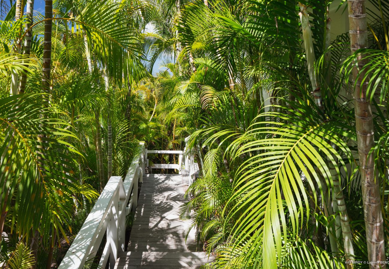 Villa à Saint Barthélemy - MAISON DODO