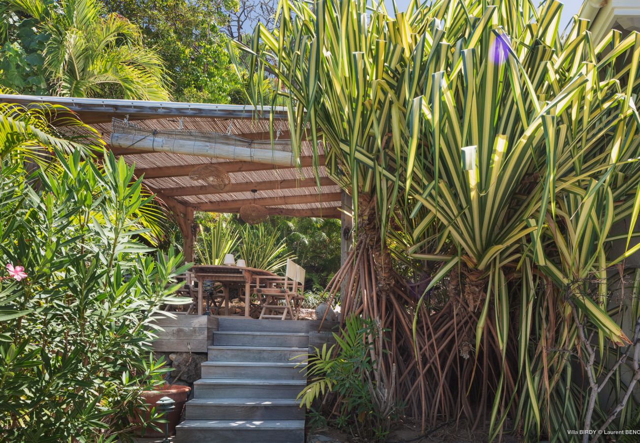 Villa à Saint Barthélemy - MAISON DODO