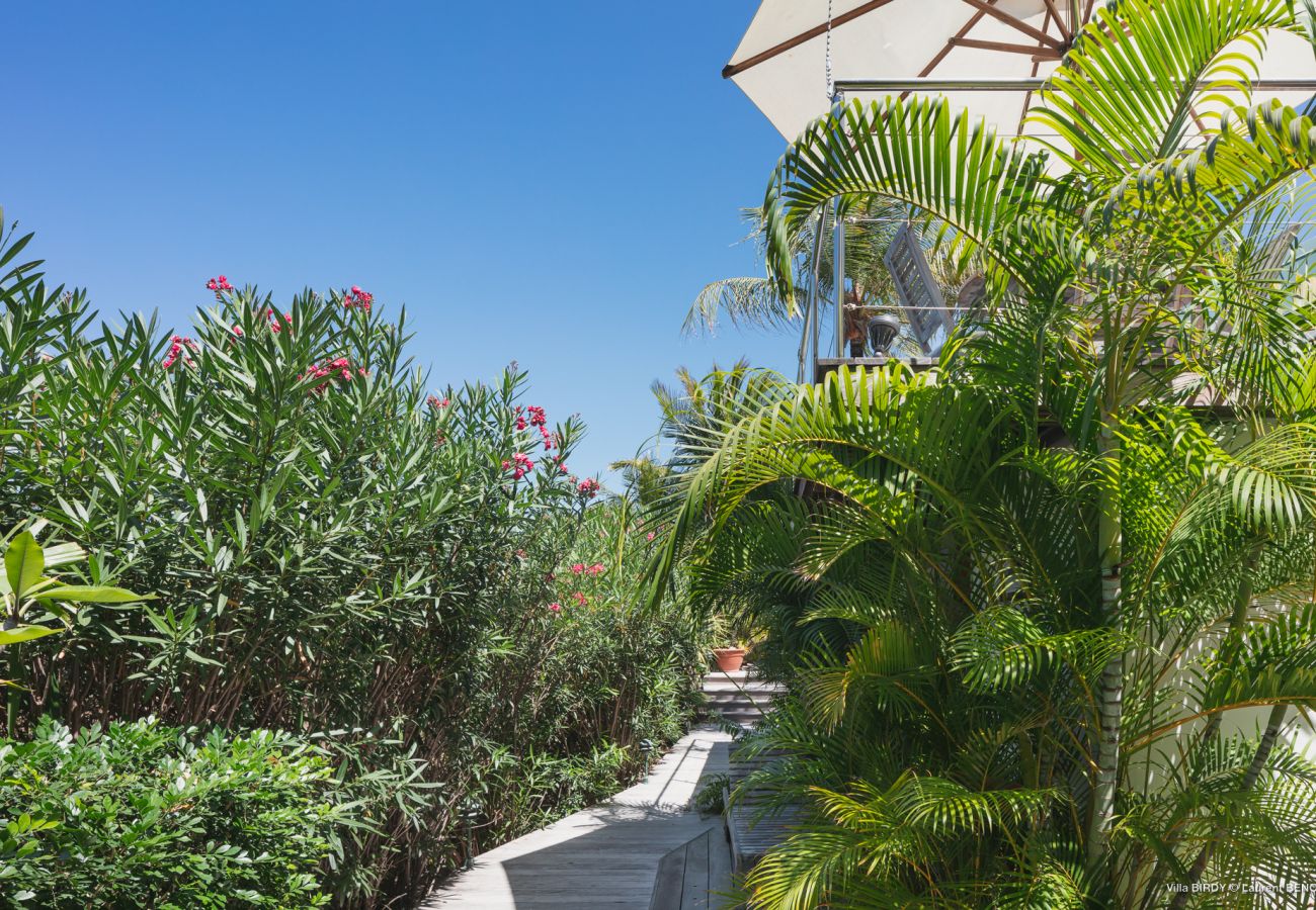 Villa à Saint Barthélemy - MAISON DODO