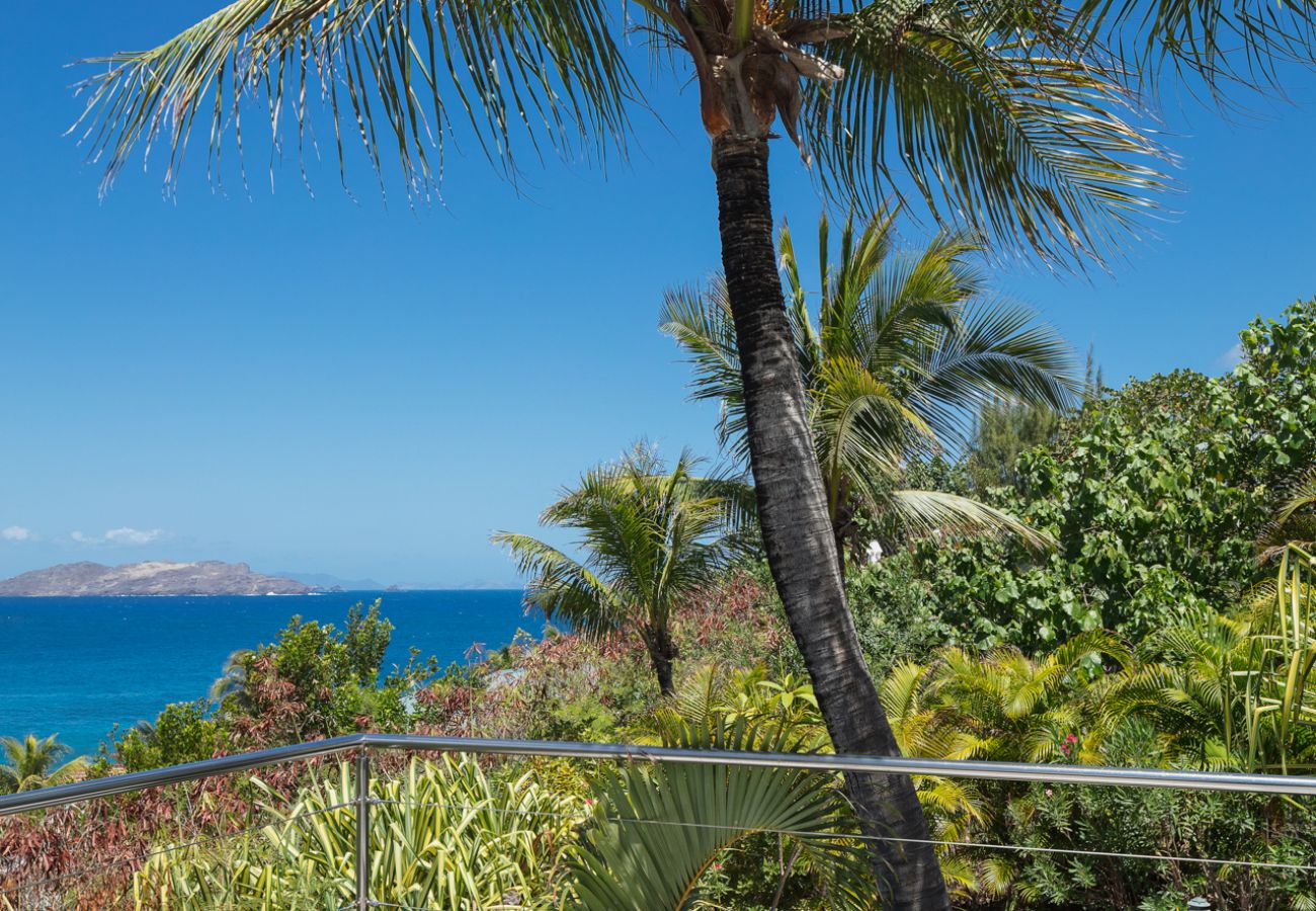 Villa à Saint Barthélemy - MAISON DODO